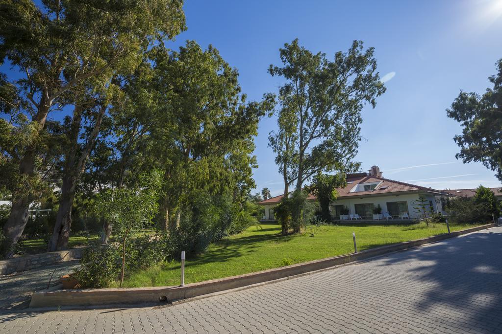 Palm Bay Beach Hotel Emecik Buitenkant foto